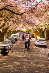 Graveley Street - Photo by Len